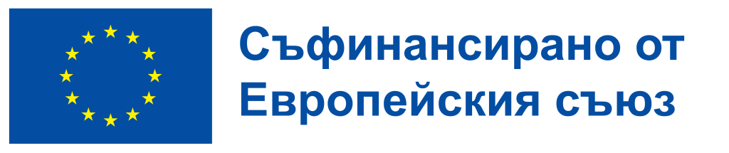 European Union Flag